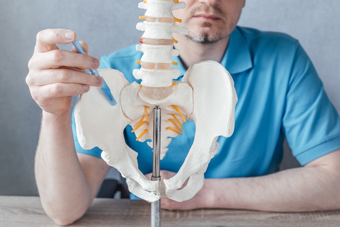 Male doctor's hand showing sacroiliac joint on skeleton spine model close-up, physiotherapist pointing at spine model in the clinic