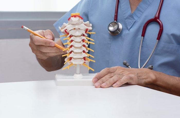 Cervical spine model